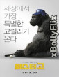 Mr. Go (2013) Dual Audio [Hindi-Korean] Movies Free Download